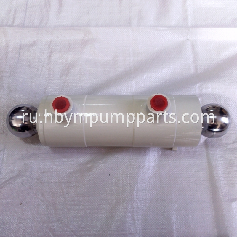 PM 60 Plunger cylinder